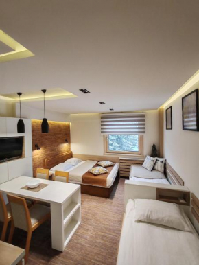 Apartment Dream Konaci